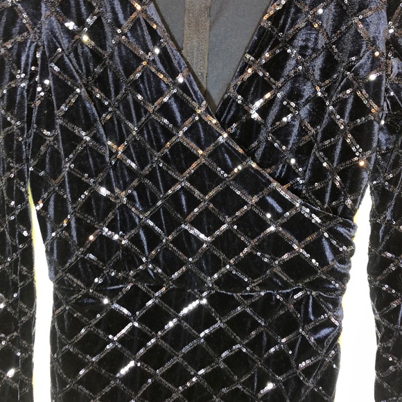 Gorgeous Velvet, Sequin Dress - Picture 5 of 8